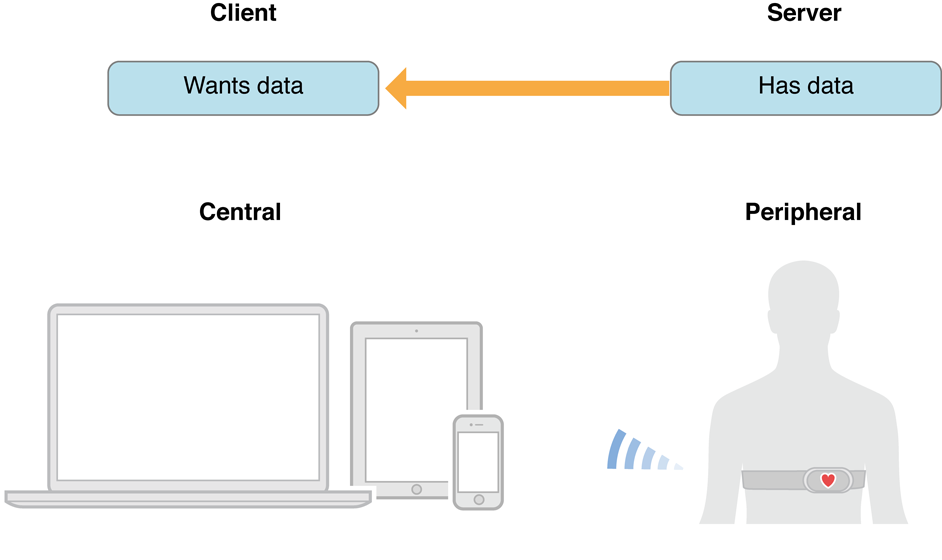 Figure 1-1 Central and peripheral devices