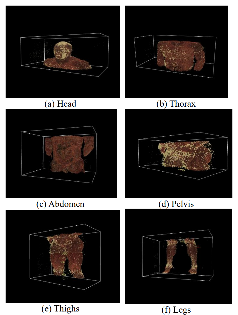 MedSim3D agent-based 3D modeing