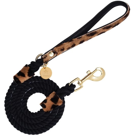 poisepup-dog-leash-wildest-one-1