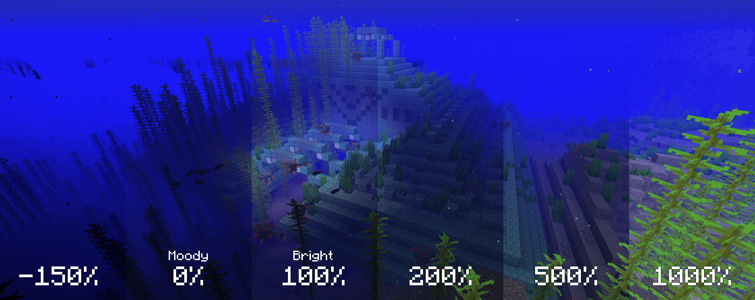 Comparison of several brightness levels underwater