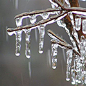 Freezing rain