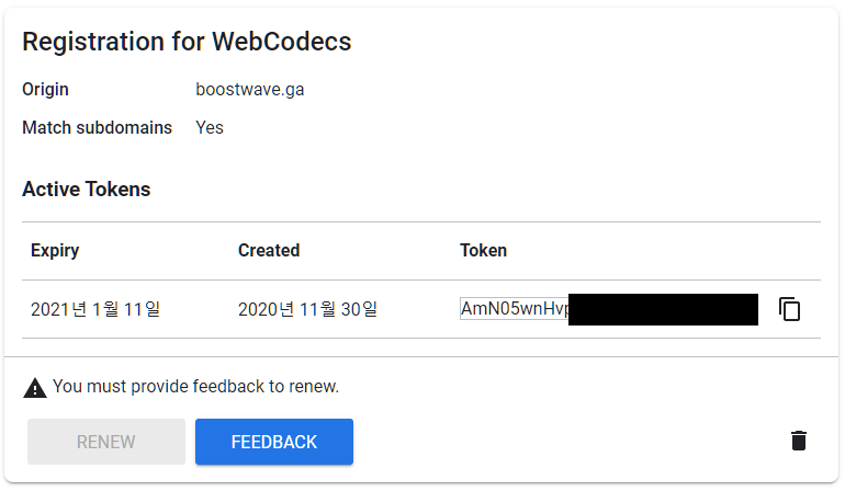 Web Codecs token