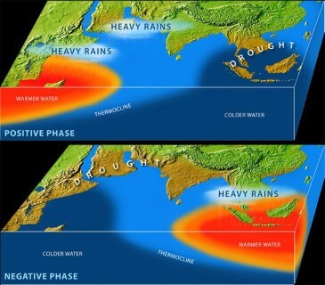 P/N phase