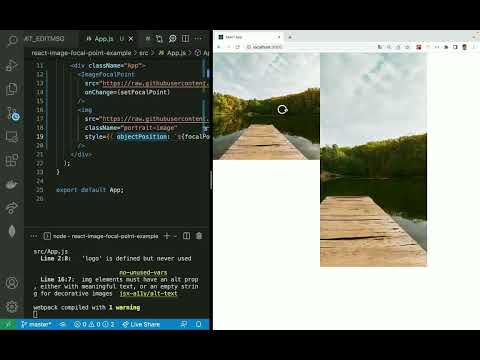 React image focal point video tutorial