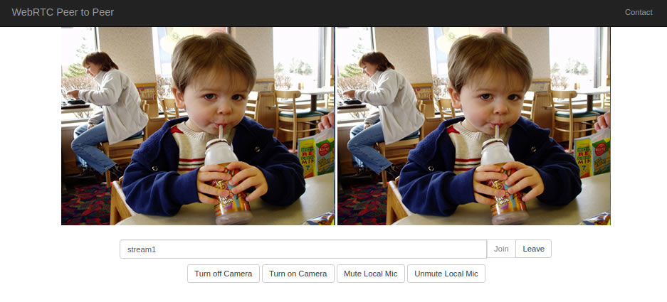 WebRTC Peer to Peer Communication