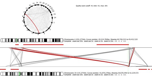 Betweenchromosomal mapped read pairs