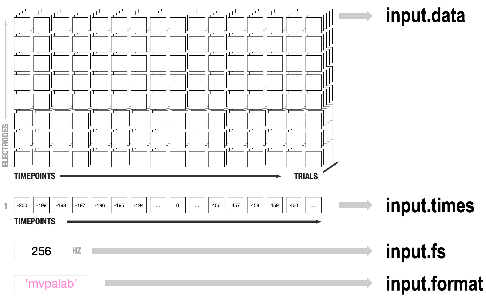 mvpalab-format