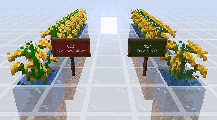 Comparison between old and new Rice Crops