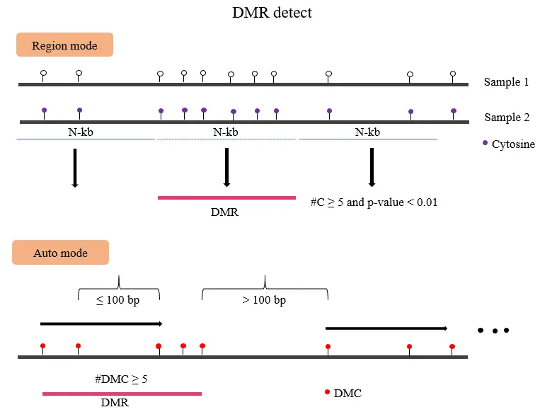 dmr-batmeth2.png