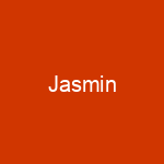 Jasmin