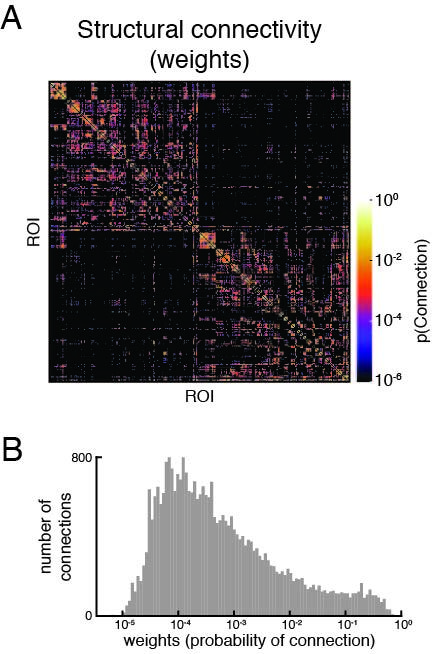 Figure 10. (A) An example structural connectivity matrix of poorer quality. Note the sparsity, especially in the interhemispheric quadrants (top right and bottom left), which was confirmed by (B) the relatively small distribution of non-zero weights in the matrix. Upon further examination, the dMRI registration to T1w was poor, resulting in some tractography seeds and targets being placed in non-brain tissue. Both images shown are reproduced from the QC Report.
