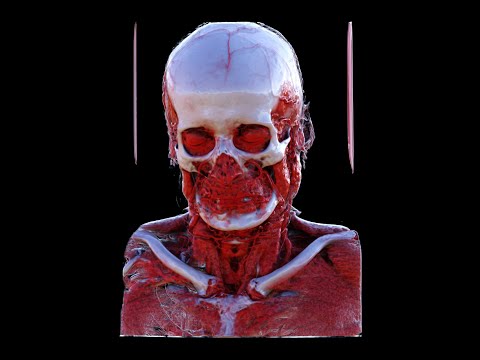 VolumePathTracing-Unity