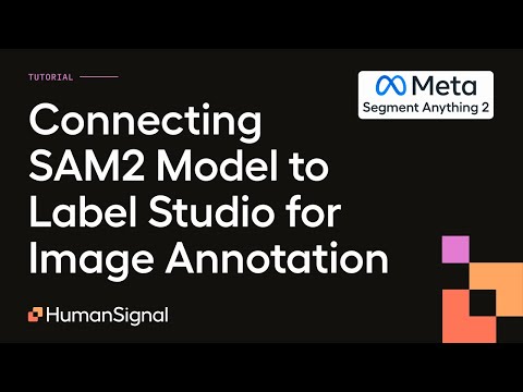 Connecting SAM2 Model to Label Studio for Image Annotation 