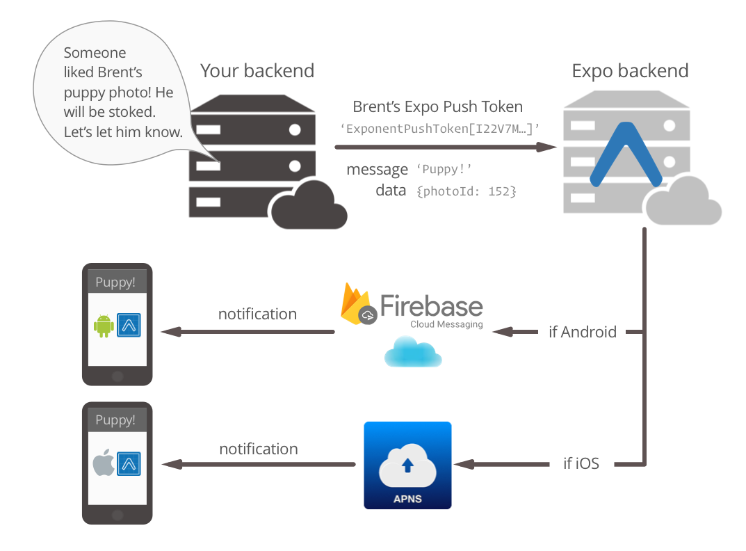 Send a push notification to Expo