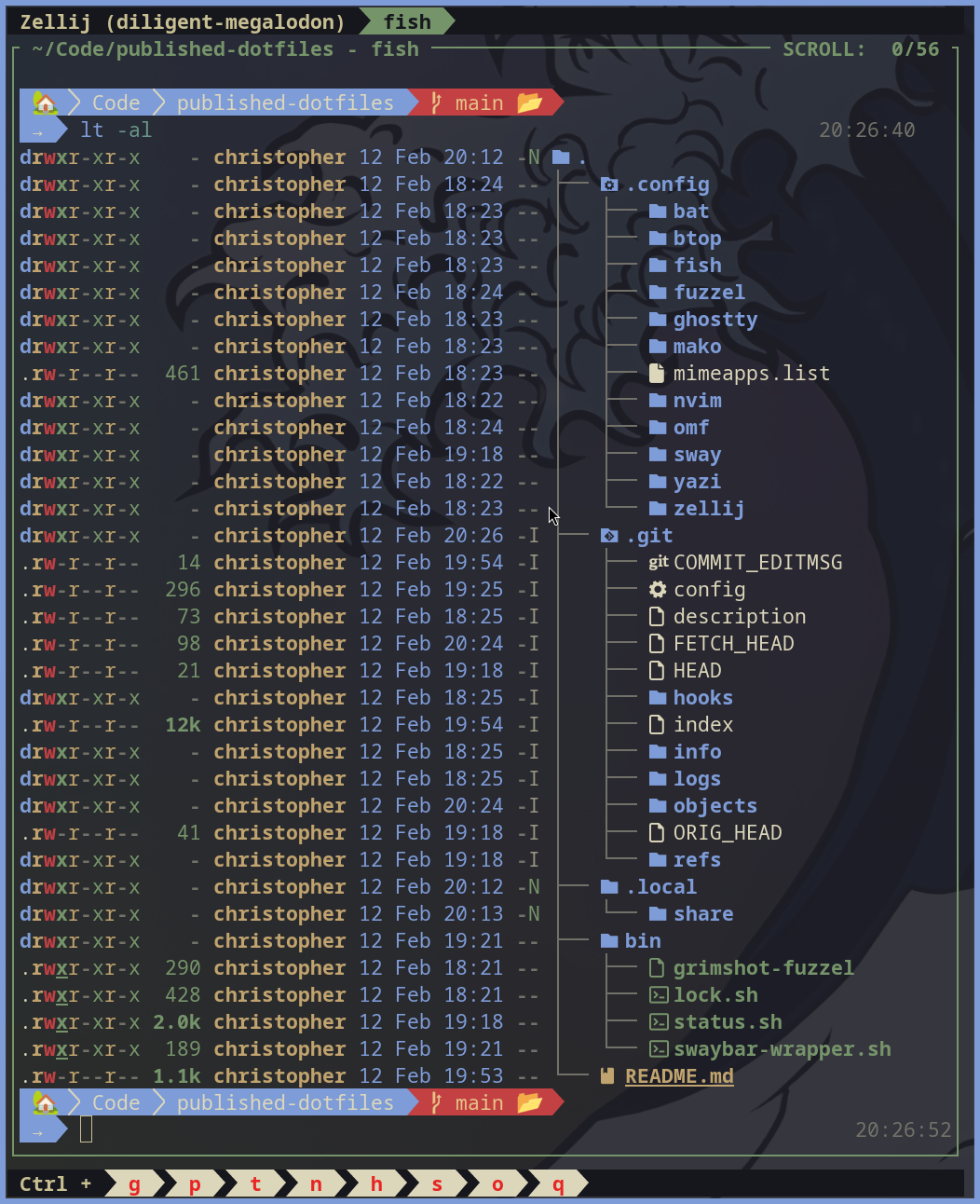 terminal screenshot