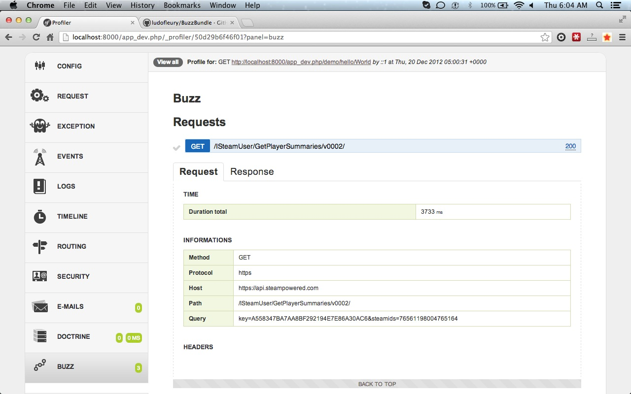 Buzz Symfony web profiler panel - request details