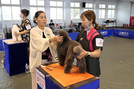 日本首席美容技能审查员HiGa Naomi比嘉老师(左)仔细的审查选手的作品，专业度十足。