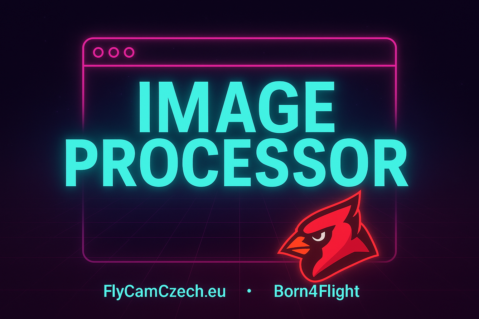 FCC MS Image Processor