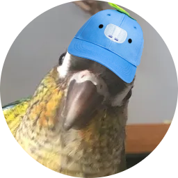 bugsbirt's profile picture