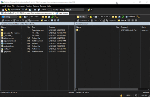 WinSCP File Transfer