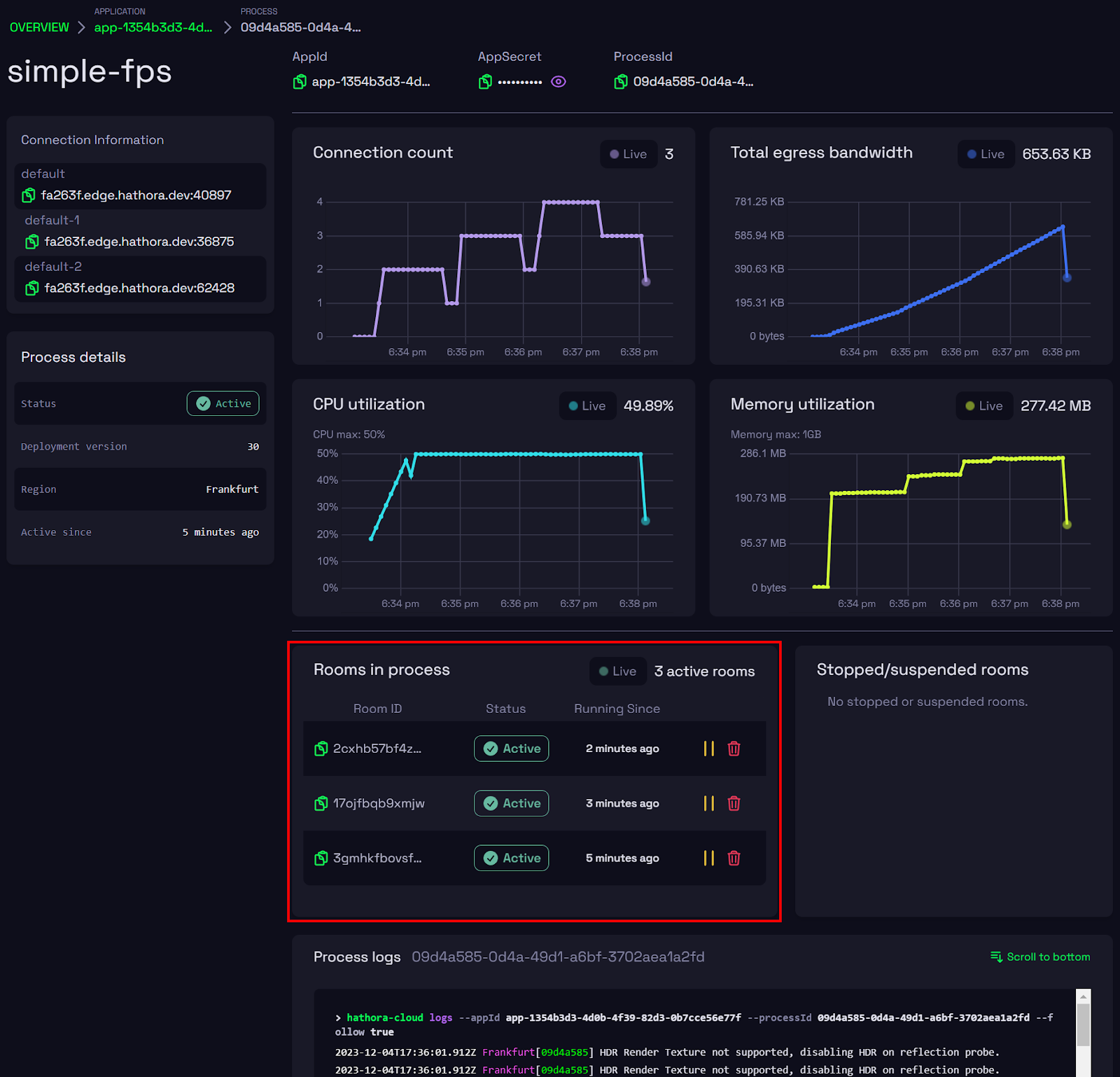 View Hathora process with multiple rooms/matches running