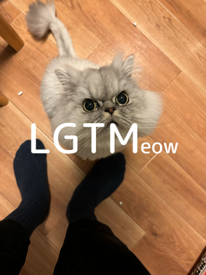 LGTMeow