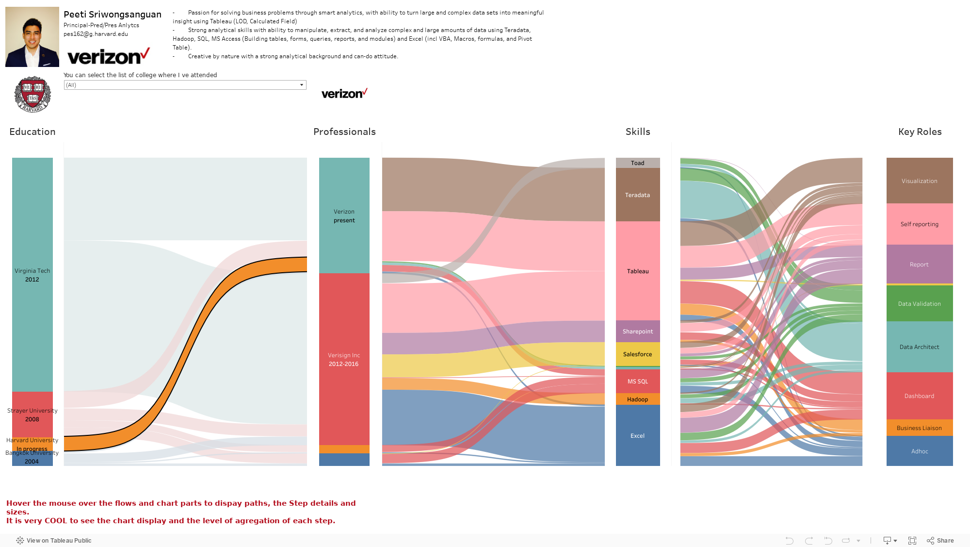 Resume by Sankey diagram