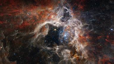 Young stars forming in the Tarantula Nebula, James Webb Space Telescope (© NASA, ESA, CSA, STScI, Webb ERO Production Team)