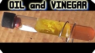 Oil and Vinegar "Lava Lamp"  Test Tube Torcher Test