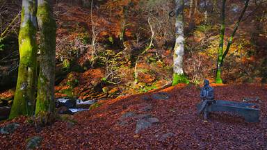 Statue of Robert Burns in the Birks of Aberfeldy, Perth and Kinross, Scotland (© Dennis Barnes/Getty Images)