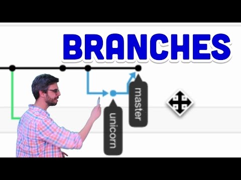 Branches