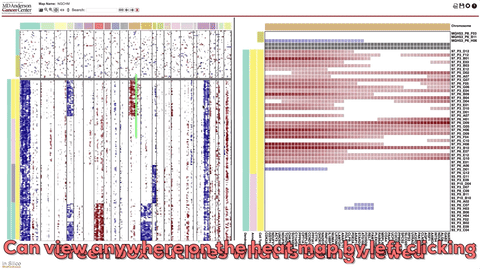 Next Generation Clustered Heat Map · broadinstitute/infercnv Wiki · GitHub