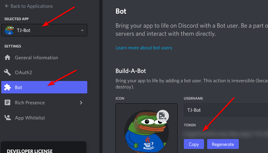 Discord Developer Portal - Bot Token