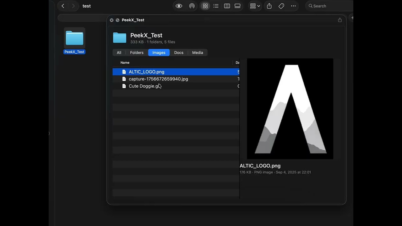 Watch PeekX in Action