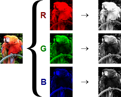 Figure 9: The colour channels of an image