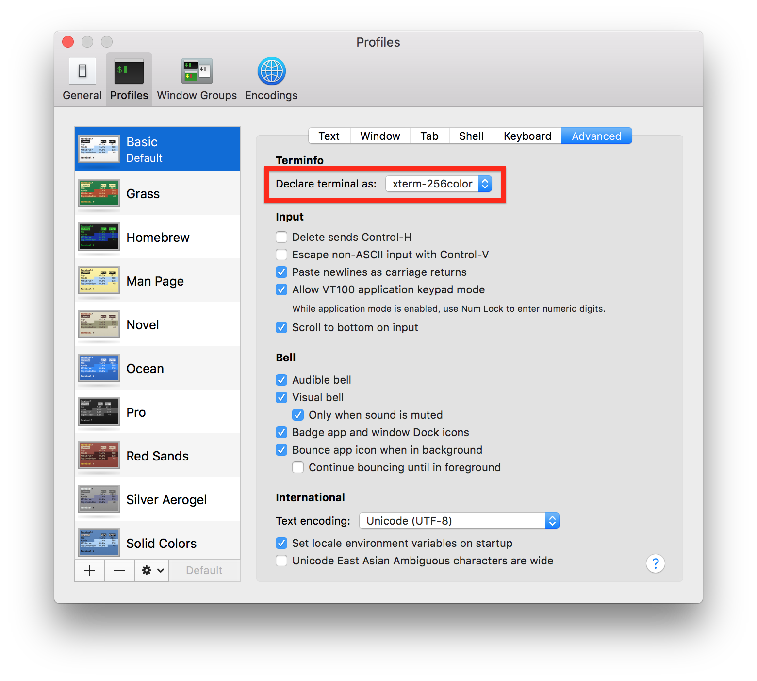 macOS Terminal Settings