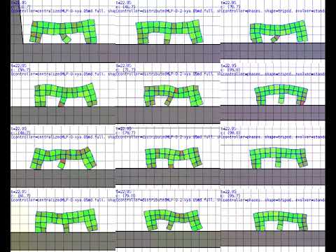 Multiple Controllers Evolution