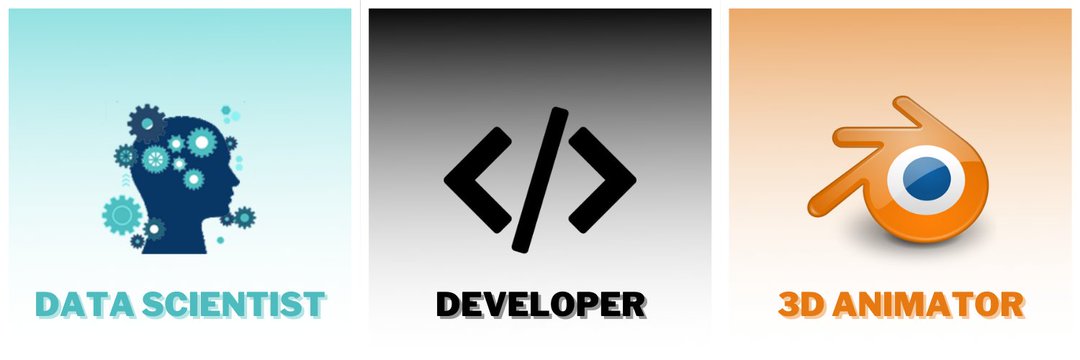 I'm a Software Developer
