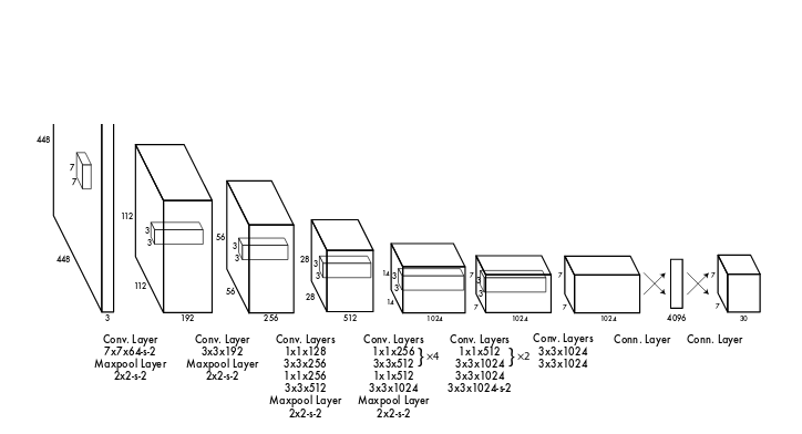 yolo architecture