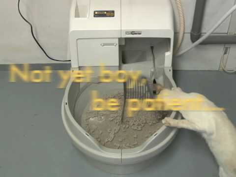 CatGenius full wash cycle