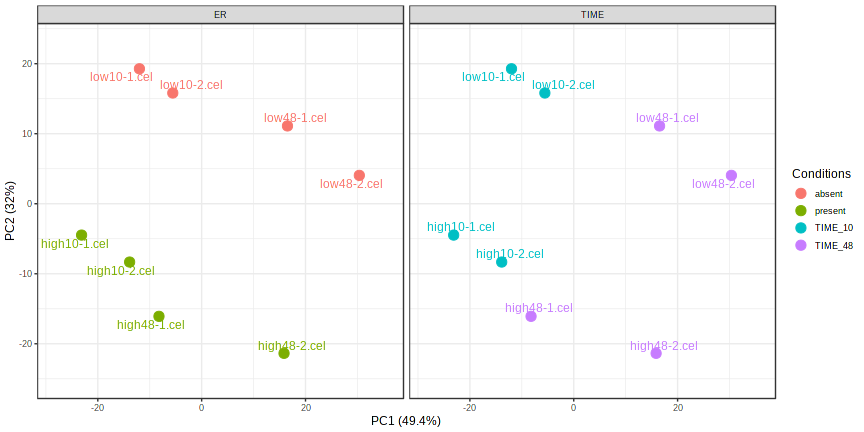 PCA Plot