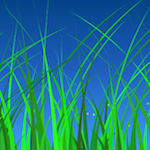 Procedural grass