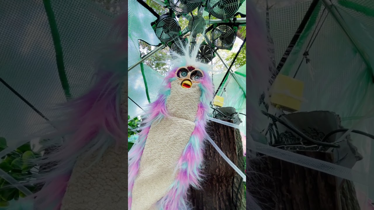 Cursed Furby demo video