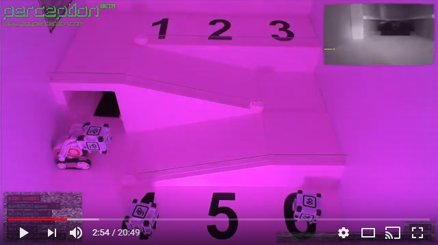 Perception Gameplay