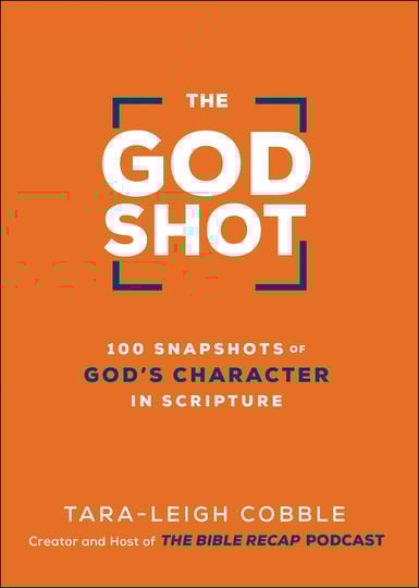 the-god-shot-100-snapshots-of-gods-character-in-scripture-book-1