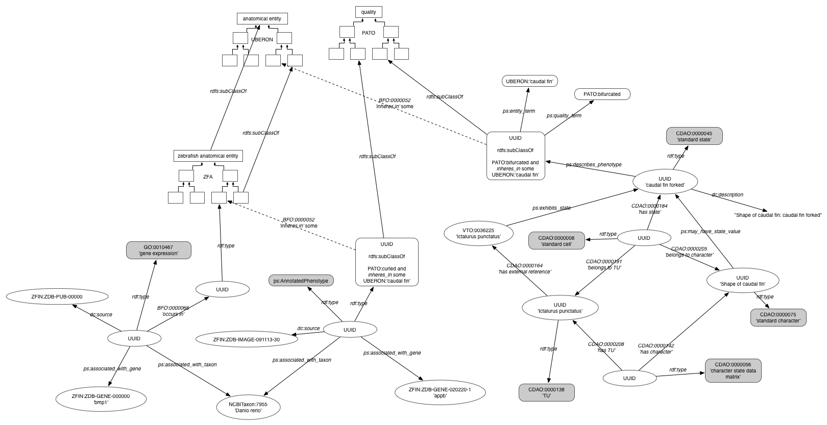 Triple model of the data in the KB