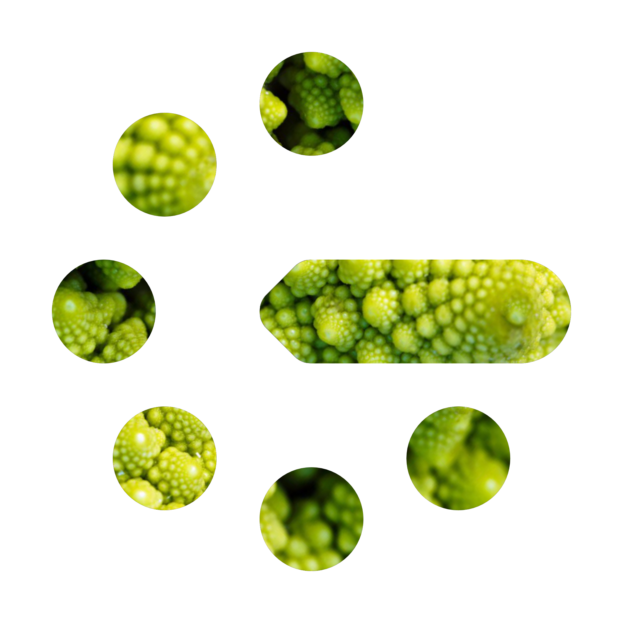 geoMusica romanesco Logo