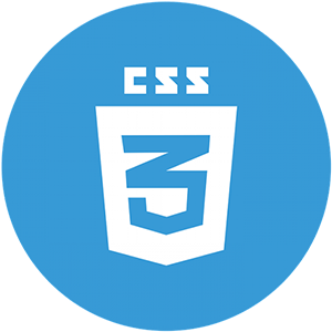 CSS 3