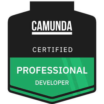 Camunda Professional
